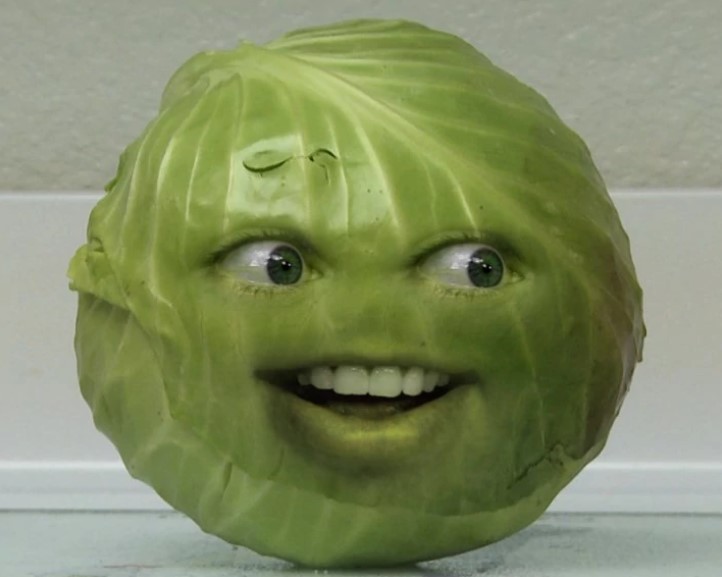 Cabbage